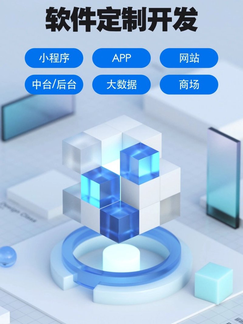 软件定制选购指南