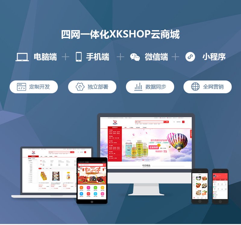 软件定制选购指南
